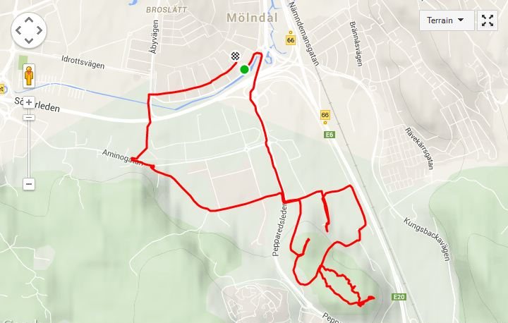 Peppared Trail Run
